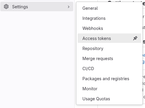Gitlab Project Access Token Setting